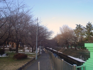 善福寺川緑地公園002