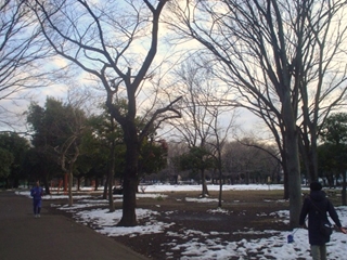 善福寺川緑地公園003