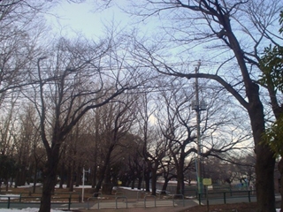 善福寺川緑地公園005