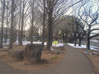 善福寺川緑地公園006