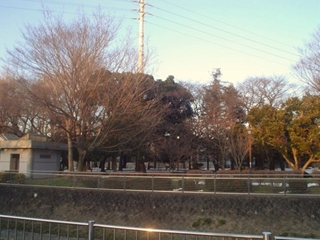 善福寺川緑地公園014