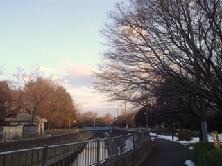 善福寺川緑地公園015