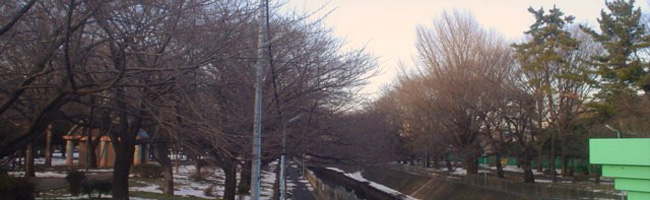 善福寺川緑地公園