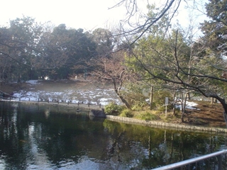 蚕糸の森公園004