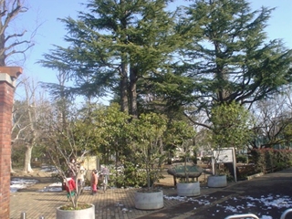 馬橋公園001