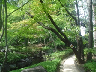 大田黒公園019