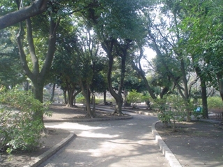 妙正寺公園002