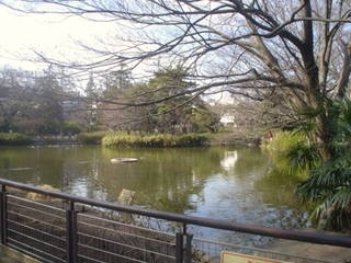 妙正寺公園004