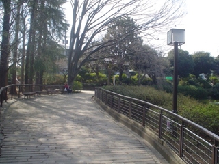 妙正寺公園005