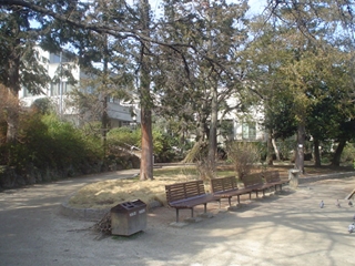 妙正寺公園006