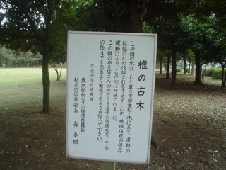 和田堀公園002