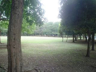 和田堀公園005