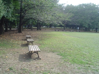 和田堀公園007