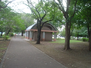 和田堀公園008