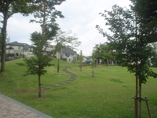 和田堀公園019