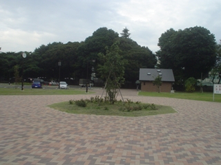 和田堀公園029