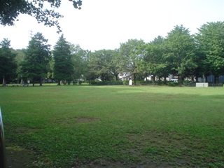 和田堀公園049