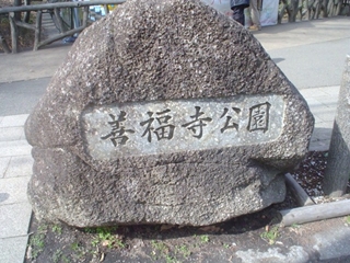 善福寺公園000