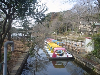 善福寺公園001