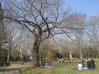 井草森公園002