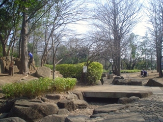 井草森公園008