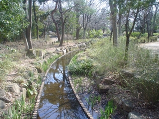 井草森公園009