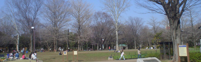井草森公園