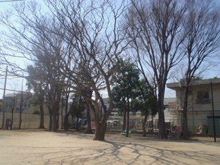 阿佐谷東公園002