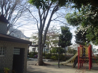 柿木北公園001