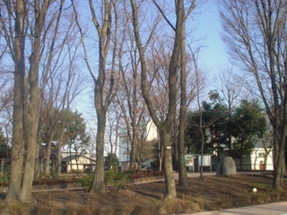 松渓公園003