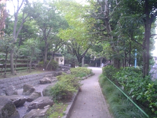 和田中央公園004