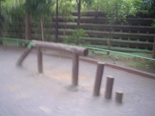 和田中央公園009