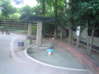 和田中央公園011