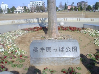 桃井原っぱ公園009