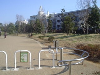 桃井原っぱ公園010