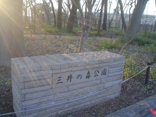 三井の森公園008