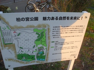 柏の宮公園000