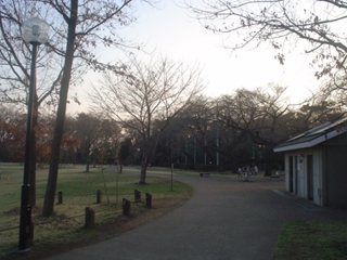 柏の宮公園003