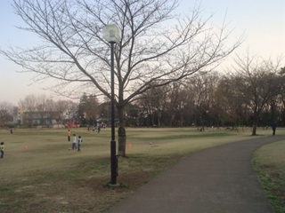 柏の宮公園005