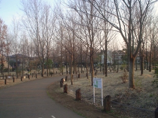 柏の宮公園007