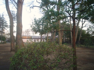 柏の宮公園0131