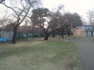 柏の宮公園015