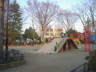 浜田山公園001