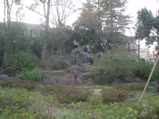 浜田山公園015