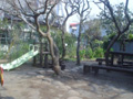 阿佐谷かりん公園