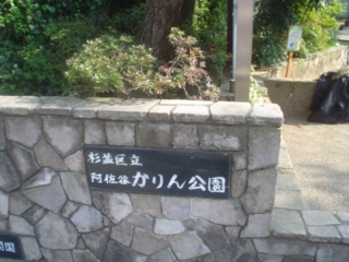 阿佐谷かりん公園000