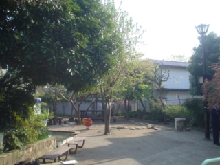 阿佐谷かりん公園001