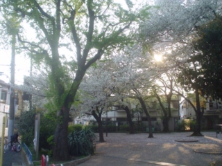 阿佐谷にしはら公園001