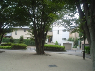 下高井戸公園018