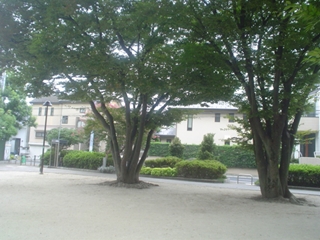 下高井戸公園019